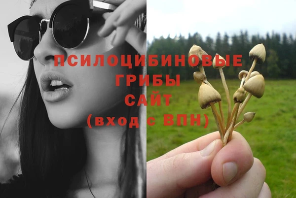 хмурый Нефтегорск