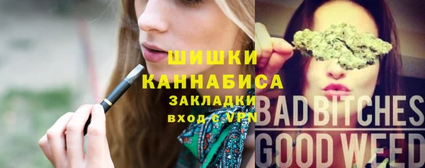 спайс Алексин