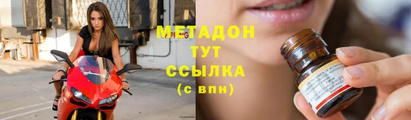 прущие грибы Арсеньев