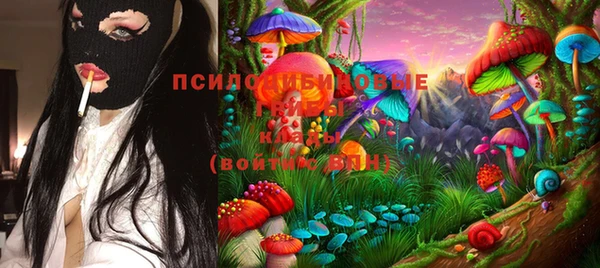 крисы Алзамай