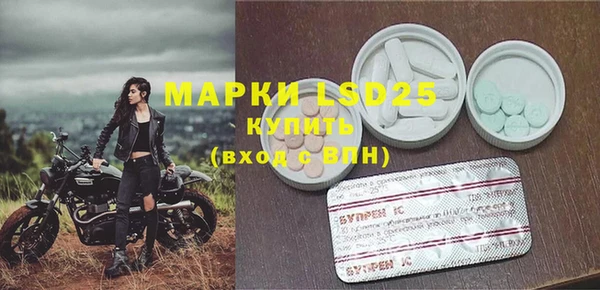 прущие грибы Арсеньев