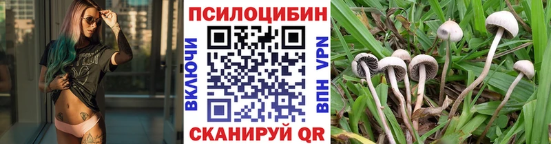 Псилоцибиновые грибы MAGIC MUSHROOMS  Балахна 